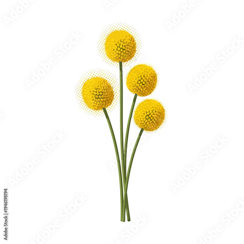 Yellow Craspedia Globosa Flowers Vector Illustration with a Halftone Effect, Delicate Botanical Design for Decorative Purposes