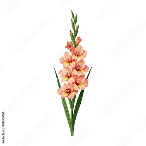 Elegant watercolor vector illustration of a vibrant gladiolus flower stalk, a detailed botanical artwork perfect for spring and summer designs, adding an essential natural touch