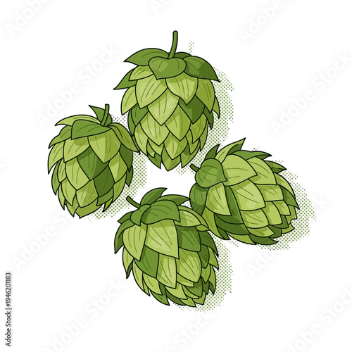 Vector illustration green hop cones for brewing craft beer. Organic botanical graphic, layered, compact structure, ideal for natural beverage designs