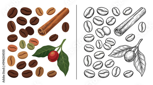 Coffee culture design elements set with roasted beans and cinnamon sticks, displayed in full color and detailed ink line art styles
