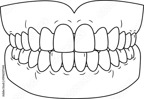 Human Teeth and Gums Vector Illustration for Dental Health, Oral Care, and Orthodontic Concepts in Medical and Educational Designs