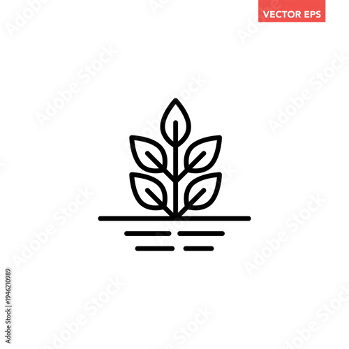 Black single plant growing on the ground line icon. Simple natural plant  flat design vector pictogram, infographic interface elements for app logo web button ui ux isolated on white background