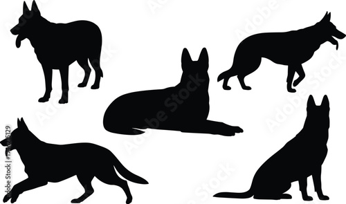German shepherd dog silhouette set, standing sitting running poses collection, canine pet animal shapes, black vector illustration