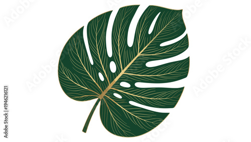 Tropical Monstera Leaf Green Gold Line Art Vector Design for Decor & Branding