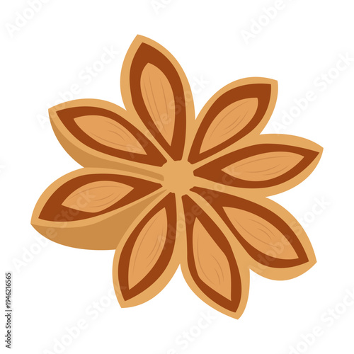 Star Anise Spice Illustration