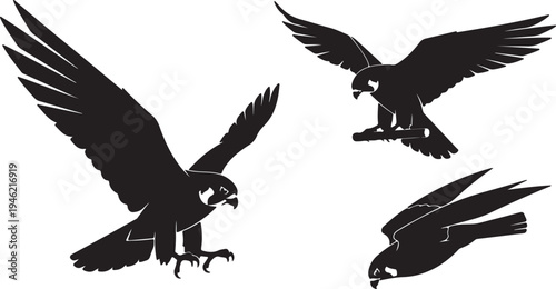 Eagle Silhouette Set Flying and Landing Bird of Prey Vector Illustration