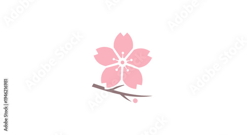 Minimalist Pink Cherry Blossom Flower Illustration on Branch