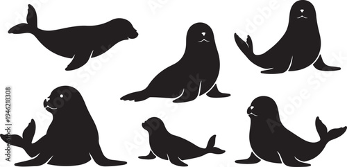 Seal Silhouette Set Marine Mammal Ocean Animal Vector Illustration
