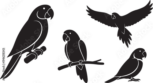 Parrot Silhouette Set Tropical Bird Collection Vector Illustration