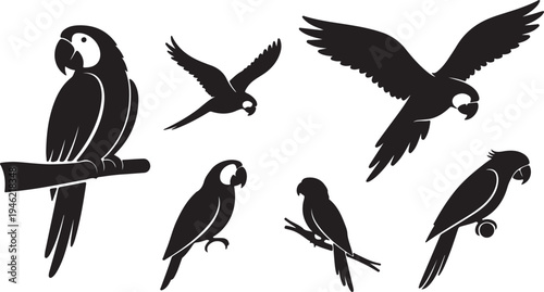 Parrot Silhouette Set Tropical Bird Collection Vector Illustration
