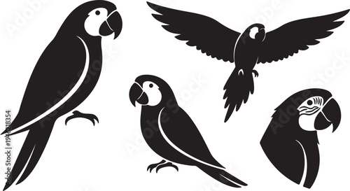 Parrot Silhouette Set Tropical Bird Collection Vector Illustration