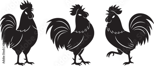Rooster Silhouette Set Farm Poultry Bird Vector Illustration