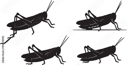 Grasshopper Silhouette Set Jumping Insect Vector Illustration