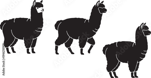 Llama Silhouette Set South American Farm Animal Vector Illustration