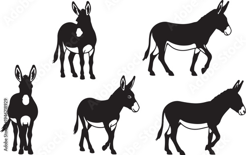 Donkey Silhouette Set Farm Animal Livestock Vector Illustration