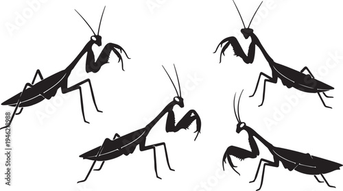 Praying Mantis Silhouette Set Insect Predator Vector Illustration
