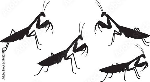 Praying Mantis Silhouette Set Insect Predator Vector Illustration