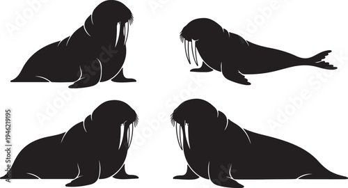 Walrus Silhouette Set Arctic Marine Mammal Vector Illustration