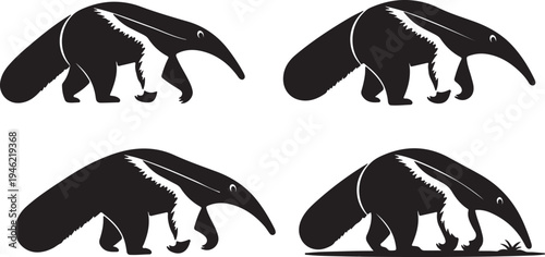 Anteater Silhouette Set Exotic Mammal Wildlife Vector Illustration