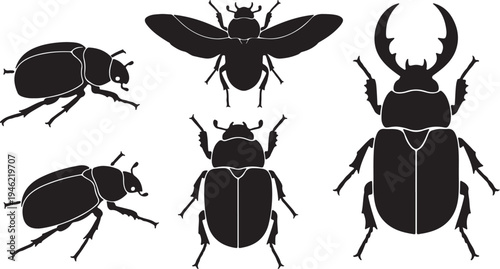 Beetle Silhouette Set Insect Collection Vector Illustration