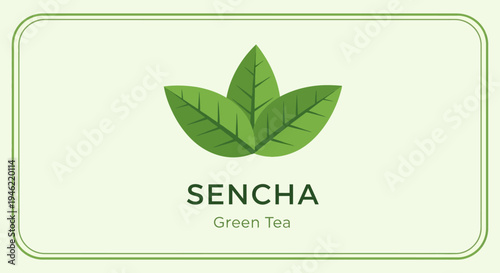 Minimalist Sencha Green Tea Label Design with Leaf Illustration