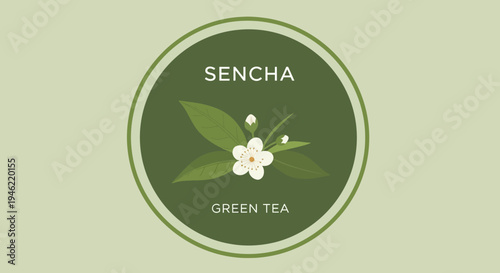 Sencha Green Tea Logo Design with Botanical Illustration