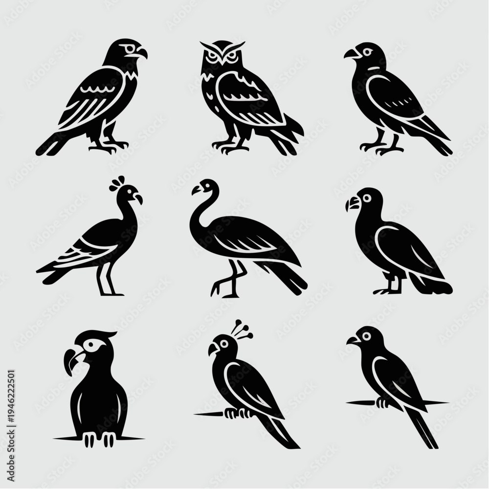 Fototapeta premium Collection of various black bird silhouettes.