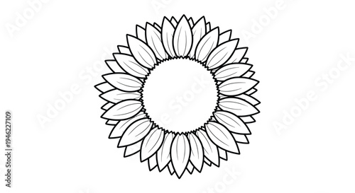 A detailed black and white line drawing of a sunflower head with numerous petals