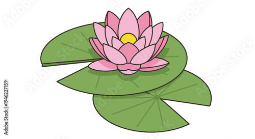A vibrant pink water lily blossom resting on a large green lily pad