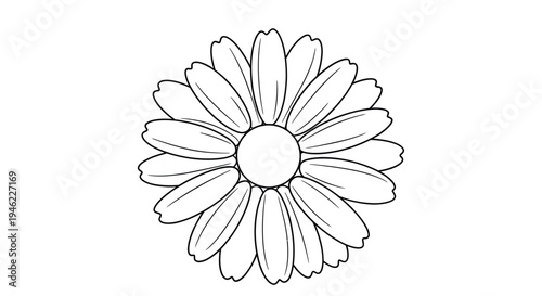 Simple line drawing of a daisy flower with a prominent central disk