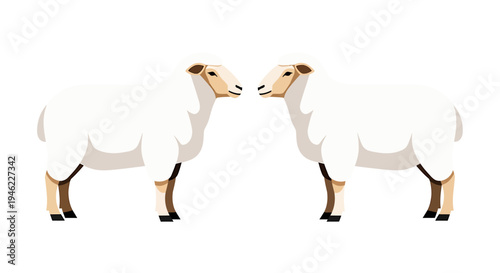 Two White Sheep Facing Each Other in Minimal Studio Composition. Vector Illustrations. EPS Editable