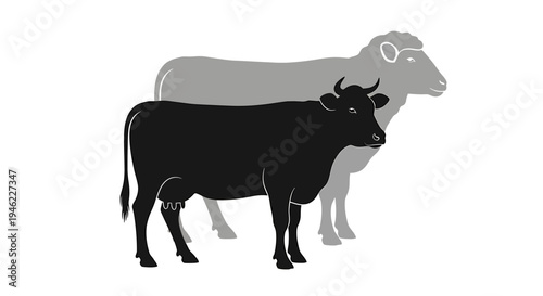 Two Silhouetted Cattle In Monochrome Farmyard Scene. Vector Illustrations. EPS Editable