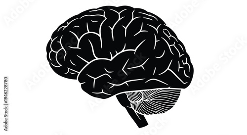 An illustration of a human brain depicted in black and white with detailed convolutions