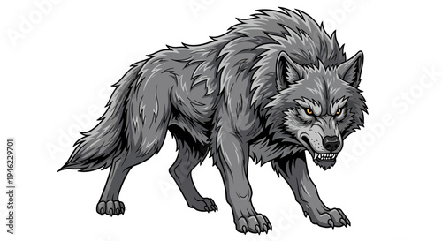 A large and wild dire wolf with grey fur isolated on a white background. Big canis dirus, a giant canine animal from the Pleistocene and ice age era