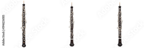 Bild auf Leinwand Professional Oboe Woodwind Musical Instrument Isolated on White Background, Trip