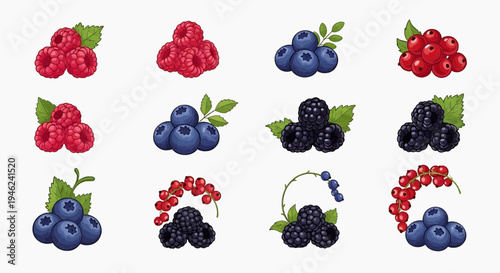 Colorful variety of fresh berries ripe raspberries, juicy blueberries, sweet blackberries, and tart red currants. A healthy natural fruit collection, beautifully presented