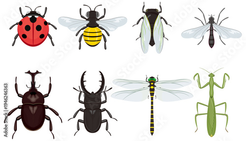 昆虫のアイコン＆スタンプ　イメージイラスト