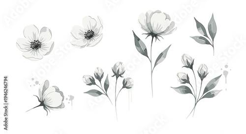 Elegant watercolor floral elements collection delicate blossoms and leaves