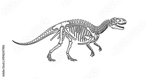 Detailed Prehistoric Dinosaur Skeleton Outline Drawing - Paleontology Anatomy Illustration
