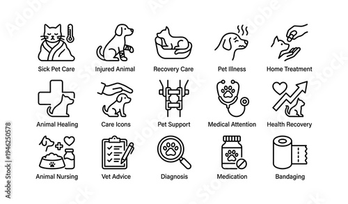 Pet care icons: sick, injured, recovery, illness, treatment, healing, support, attention, nursing, diagnosis