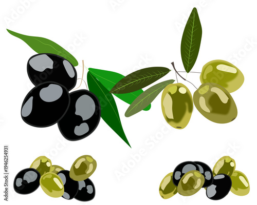 Olives Set Illustration