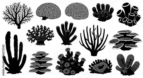 Black and White Vector Silhouette Set of Nature Elements, Including Corals, Sponges, and Tree