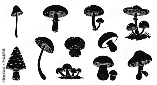 Nature Mushroom Silhouettes Vector Set - Fungi Icon Collection