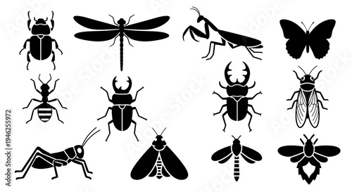 Nature Entomology: Black and White Insect and Bug Silhouettes Glyphs Vector Icons Set
