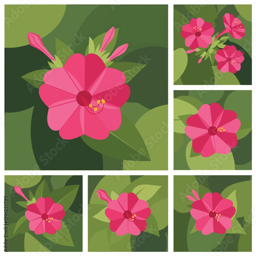 Pink Mirabilis Jalapa Flower Set on Green Background