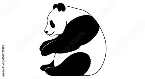 Cute Panda Bear Sitting Isolated on White Background.