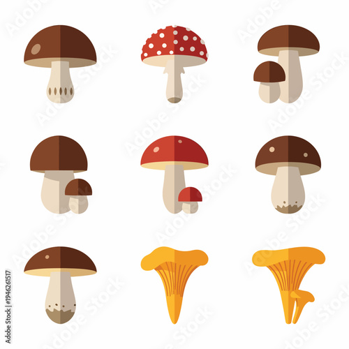 Set of Mushroom Icons on White Background