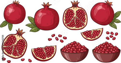 Pomegranate fruit collection with whole fruits, cut halves, slices and seeds in bowl, fresh healthy food vector illustration set