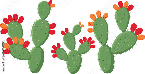 Prickly pear cactus collection with green pads and red fruits, hand drawn desert plant botanical illustration set