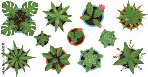 Potted Houseplants Top View Collection Indoor Plants Succulents Cactus and Tropical Leaves Vector Illustration Set